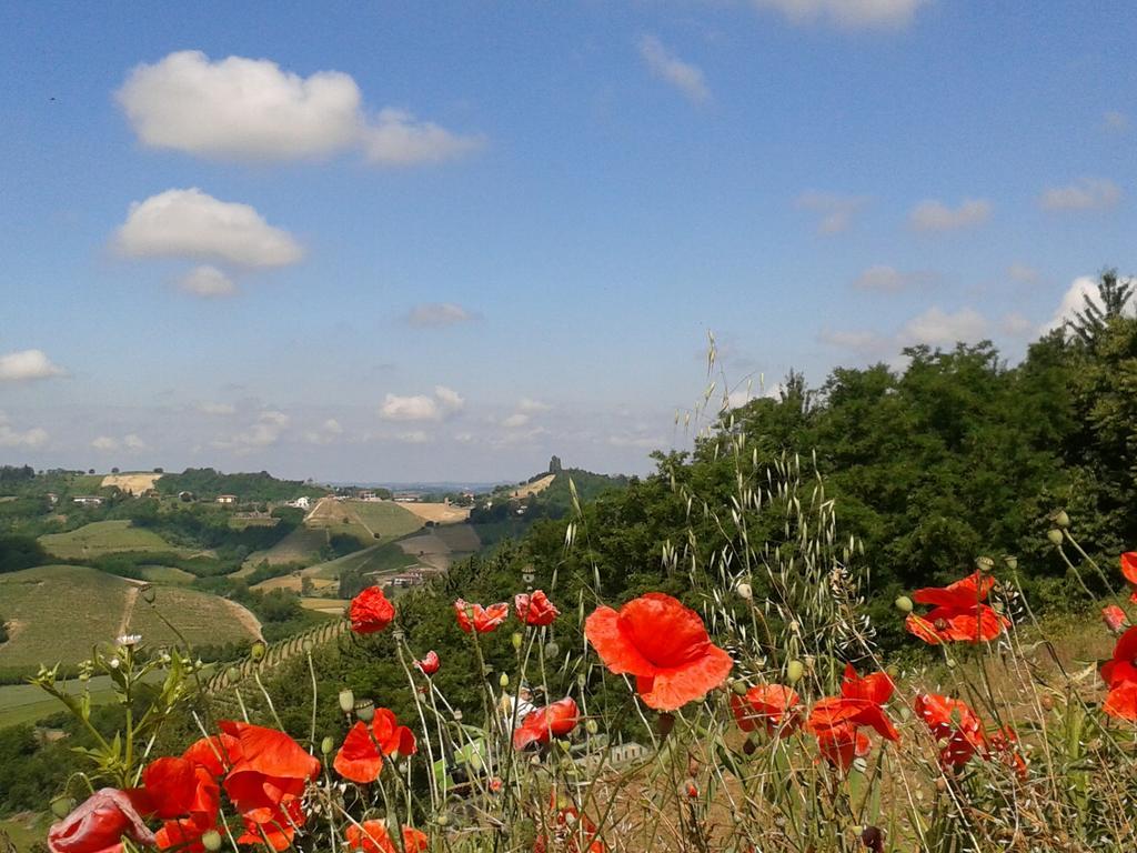Ca D' Rot - Casa Ratti Guest House Vinchio ภายนอก รูปภาพ