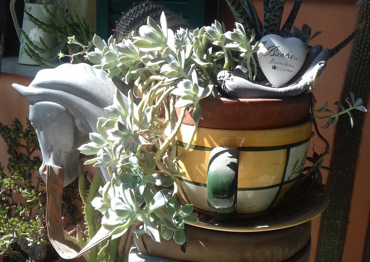 Ca D' Rot - Casa Ratti Guest House Vinchio ภายนอก รูปภาพ